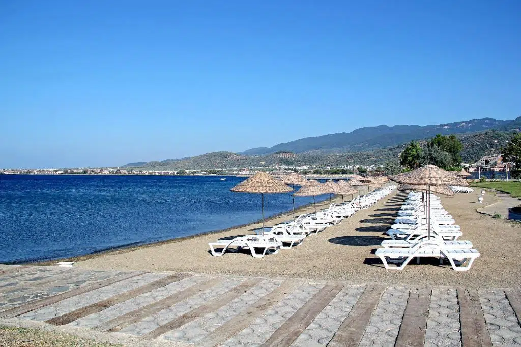 services image
